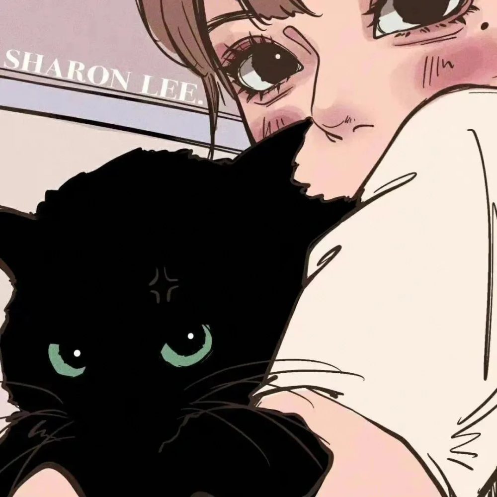 آینه جیبی